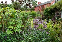 Lush planting in informal cottage garden with view to house behind 