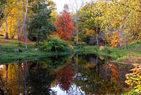 Autumn view over the ornamental pond  at East Bergholt Place. 