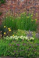 Summer border in walled garden filled with nectar rich flowers 