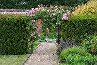 Rosa 'Louise Odier' clambers over an arch, wedged between yew hedges.