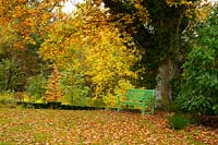 An old oak tree 'Quercus' spreading autumn foliage over a green garden bench at High Moss, Portinscale, Cumbria, UK