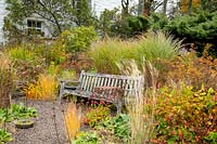 A lichen covered teak bench surrounded by ornamanetal grasses and seed heads in the gravel garden 