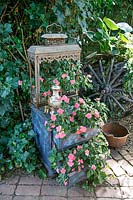 Collection of found objects planted with Impatiens - Busy Lizzie