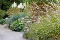 Mixed grass borders at Birmingham Botanical Gardens and Glasshouses, October
