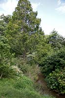 Distant view of Japanese bridge over the stream at a private garden at Brockhampton open for NGS