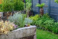 Walthamstow Modern Garden with Raised Bed  by Earth Designs 