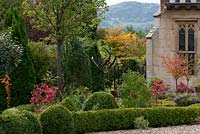 A glimpse of Cooper's hill caught beside the facade of a part timbered, Mediaeval manor house, and seen over a formal box parterre. Prunus triloba, flowering almond, and Cornus kousa have red autumn foliage.