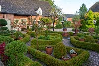 A formal parterre created from clipped box hedges, balls and standards, with the red autumn foliage of Cornus kousa and  flowering almonds, Prunus triloba.