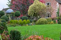 A mature ornamental cherry with autumn's red foliage, towers above a variegated Portugese laurel, euonymus at its feet. To the left, a gazebo is set amongst privet standards and dwarf golden green conifers, Thuja orientalis 'Aurea Nana'.