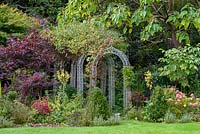 A pergola leads between borders of clipped box cones, purple leaved Japanese maples, hydrangeas and perennials.