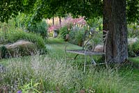 A metal chair seen beneath a mature Liquidambar, a grassy path leads between twin borders of miscanthus, red hot pokers, coneflowers and persicaria.