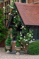The front porch of the late Victorian house, an old yellow rose climbing up the front.