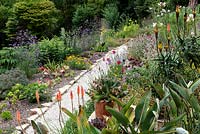 Path through a dry garden where full sun and good drainage allow succulents to grow