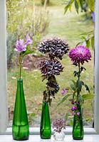  Alstromeria, Hydrangea macrophylla and Chrsanthemum stems in glass bottles on a window sill