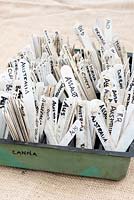 Canna cultivar plant labels in a tray