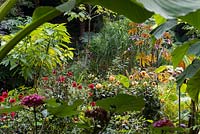 View through foliage to tropical-style planting with Dahlia, in a sheltered microclimate 