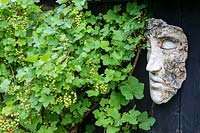Ceramic face mounted on wood near fruit bush