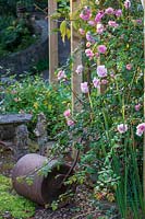 Old lawn roller in a cottage garden, Rosa - Climbing Rose - in foreground