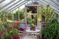 Small table and chairs inside large greenhouse, potted tender plants including Agapanthus and Aeonium