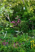 Shady woodland garden with pond, Viburnum opulus 'Roseum' and Rhododendron, bog garden with Candelabra Primula and ornamental birds 