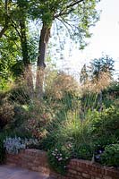 Summer border with grasses