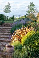 Brick steps through steep garden border with Phormium 'Bronze Baby', Erigeron Sea Breeze'.