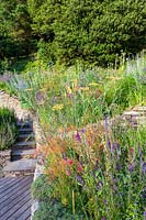 View over flower beds in a sloping garden with steps down to decked area
