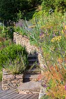 Steps down to decked area, viewed from flower bed at top of a drystone wall