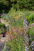 View across flower bed full of perennial and annuals at top of a drystone wall