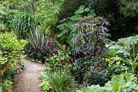 View of a path through a garden which is situated in a steep-sided valley or combe with its own sheltered microclimate which permits tender exotic plants to flourish