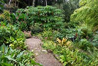 Path through a garden bordered with tender exotic plants 