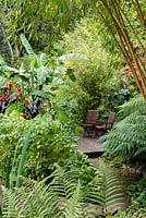 Decking with wood chairs in a garden surrounded by tender exotic plants 
