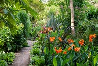 Path through a garden which is situated in a steep-sided valley, with its own sheltered microclimate which permits tender exotic plants to flourish.