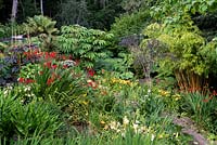 View down into a garden which is situated in a steep-sided valley or combe with its own sheltered microclimate which permits tender exotic plants to flourish