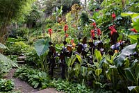 Canna lilies in a garden border with other tender exotic plants 