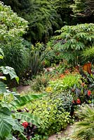 View of garden which is situated in a steep-sided valley, with its own sheltered microclimate, which permits tender exotic plants to flourish.
