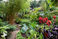View of garden which is situated in a steep-sided valley, with its own sheltered microclimate, which permits tender exotic plants to flourish.
