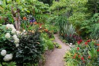 A path through a garden which is situated in a steep-sided valley, with its own sheltered microclimate which permits tender exotic plants to flourish. 