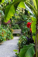 A path leading to a bench in a subtropical garden. 