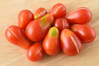 Solanum lycopersicum 'Red Pear'. Cherry plum tomatoes. Heirloom variety. Picked fruit that has split or cracked or has uneven ripening. Greenback Syn. Lycopersicon esculentum