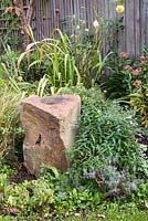 Low maintenance  city garden - Stone bird bath with Eurybia