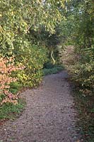 Path through woodland with Ilex aquifolium - Holly