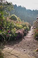 View down path of Dahlia beds