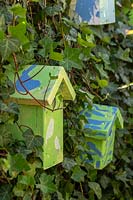 Painted bird boxes on Hedera - Ivy - covered fence
