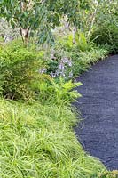 Curved path with cracked black surface  made from the by-product of industrial furnaces leads through borders of shade loving plants including carex with feature boulders. The Smart Meter Garden - Hampton Court Flower Festival 2019 