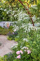 Ammi majus growing next to rusted metal archway with view to country garden beyond. The Naturecraft Garden - Hampton Court Flower Festival 2019 