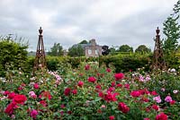 Mix of roses in raised beds  including 'L D Braithwaite', 'Darcy Bussell', 'Munstead Wood'