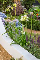 Rendered white wall at the edge of a garden with mixed borders and plants including Agapanthus, Salvia and Hydrangea. The Dream of The Indianos, Hampton Court Flower Show, 2019. 