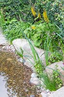 Pond edged with large rocks with water loving vegetation. The Thames Water Flourishing Future Garden - Hampton Court Flower Festival 2019
