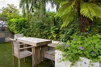 Dining area with Geranium and tree fern by Earth Designs